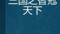 三国之智冠天下,三国英雄的谋略传奇